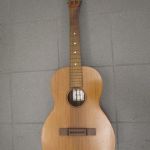 720 1629 Gitarr